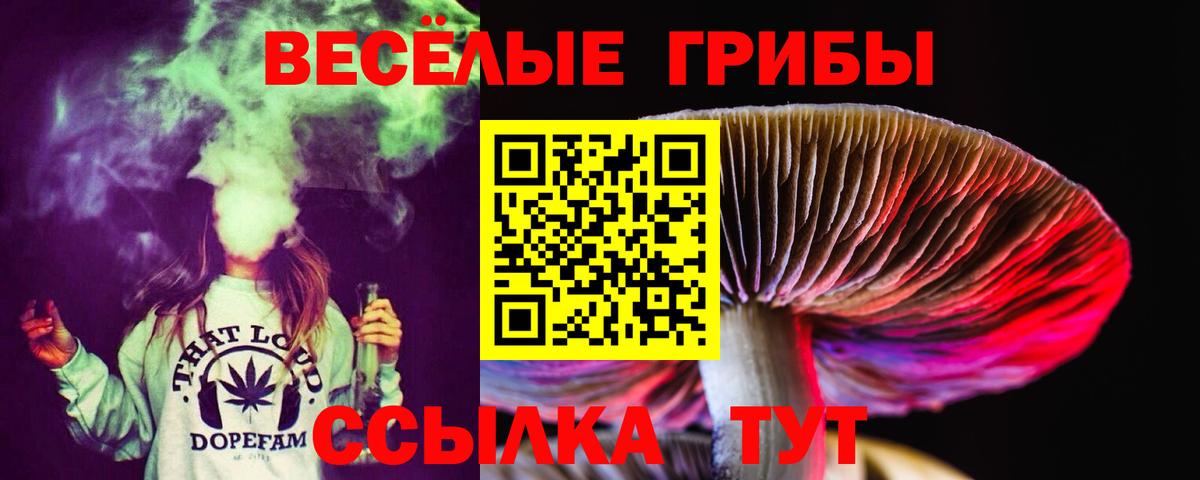 Псилоцибиновые грибы Magic Shrooms Заинск