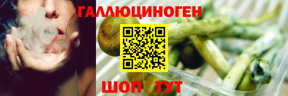 Псилоцибиновые грибы GOLDEN TEACHER  Вход с VPN  Заинск  Галлюциногенные грибы Psilocybine cubensis 
